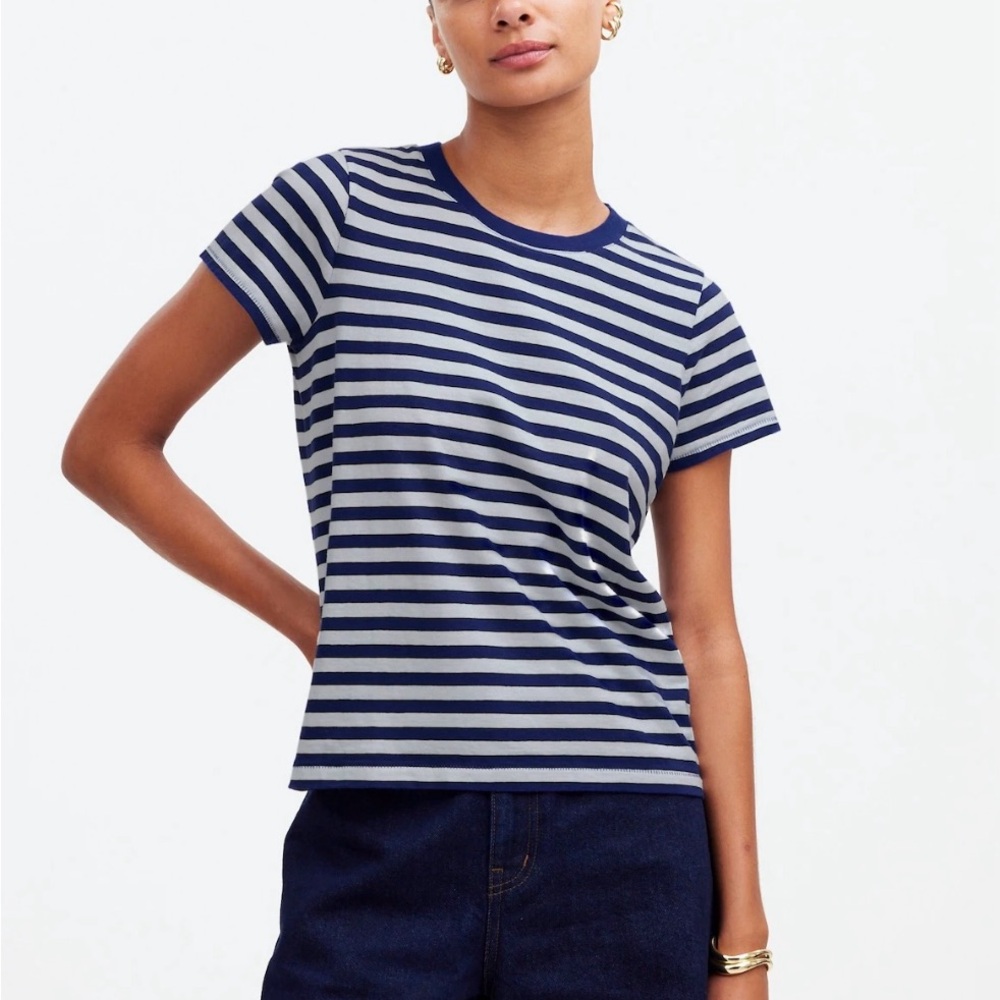 Madewell Northside Vintage Tee in Stripe